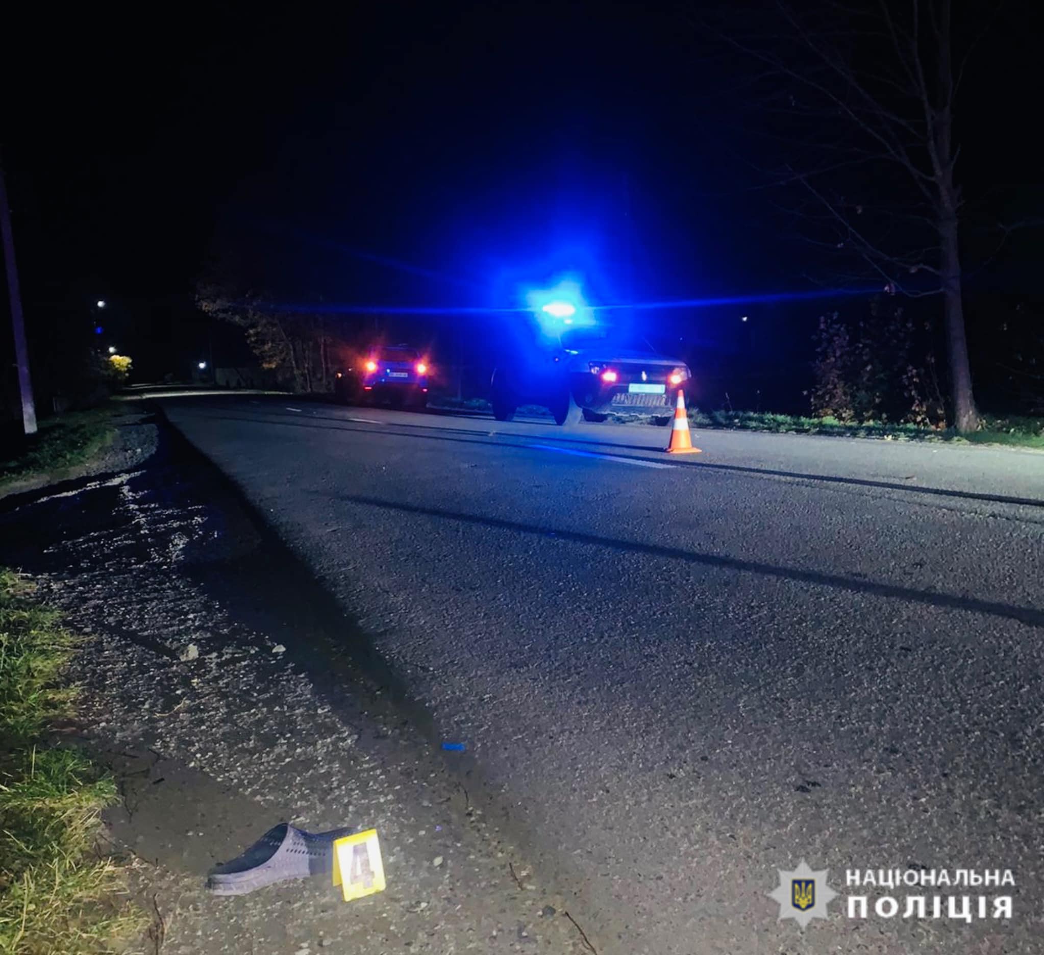 На Прикарпатті розшукали водія, який збив на смерть 17-річного пішохода та втік