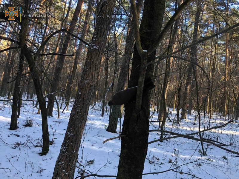 На Львівщині біля житлових будинків знайшли мінометну міну