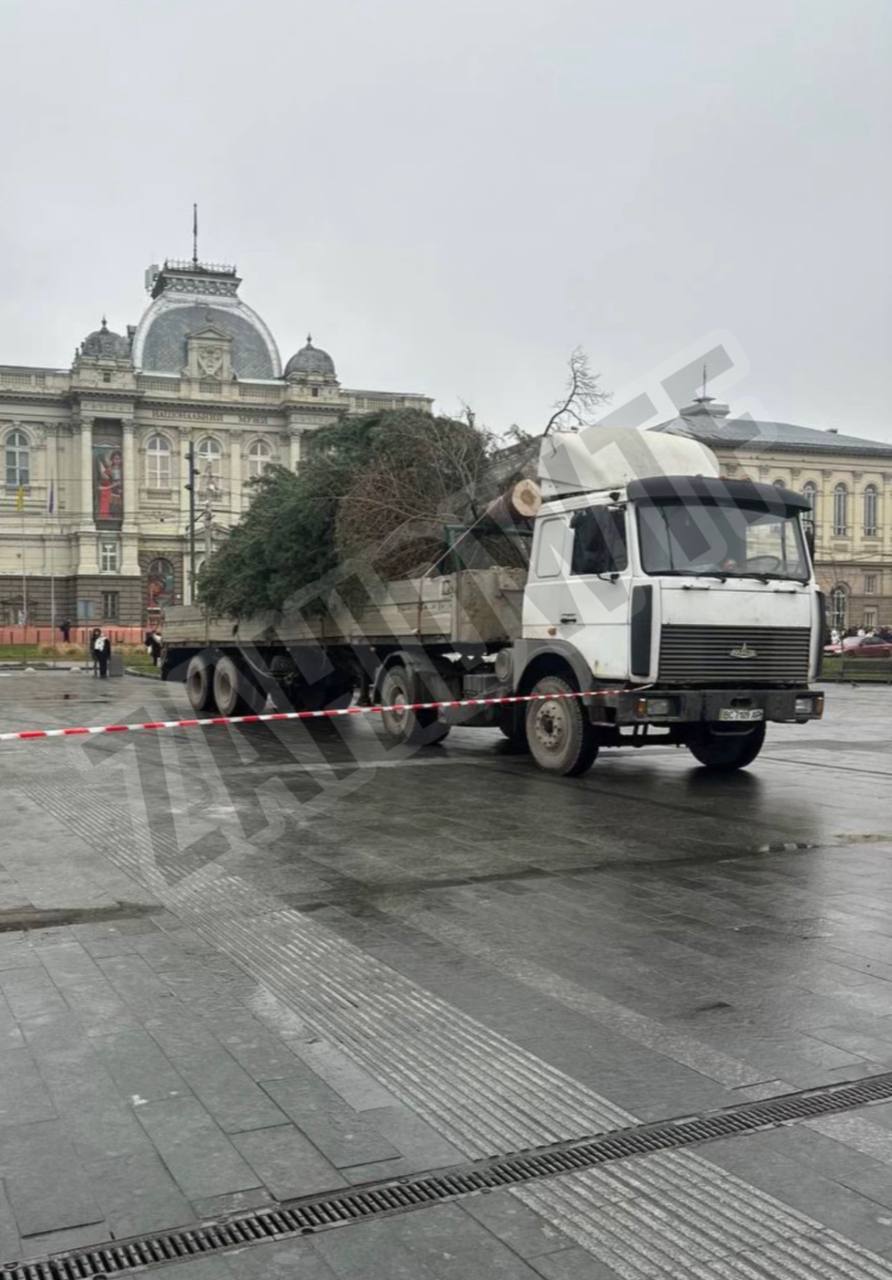 У Львові встановлюють різдвяну ялинку