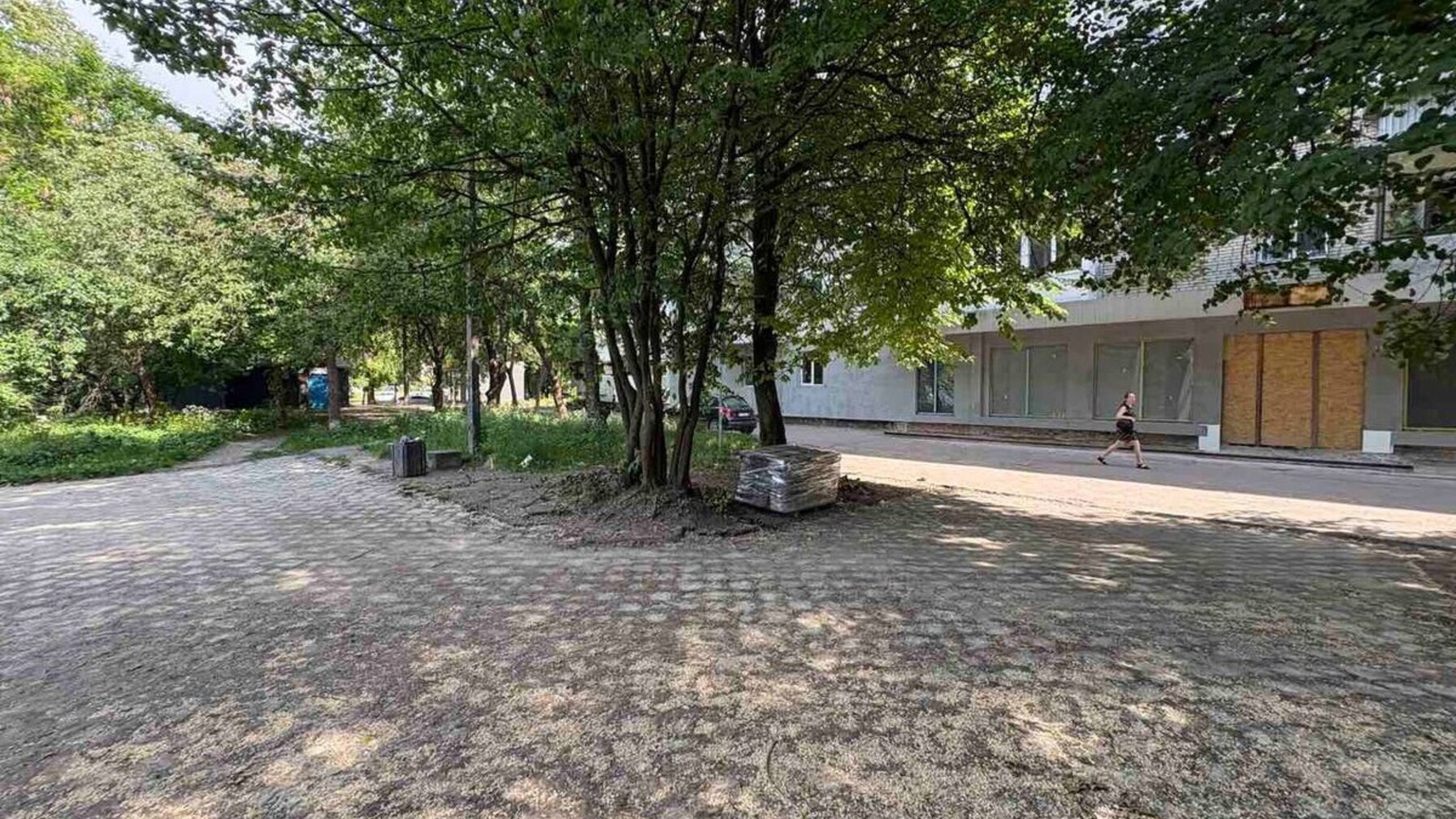 У Львові в одному з районів зріжуть 12 дерев: яка причина