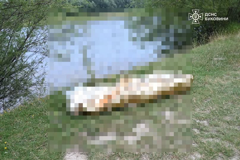 На Буковині знайшли тіло мертвої дитини: Що сталося