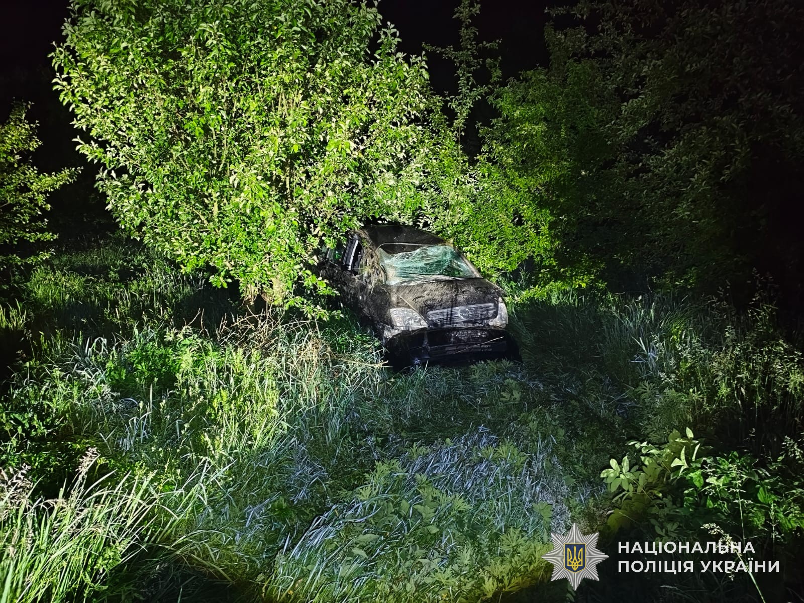 На Львівщині п’яний водій перекинув авто: постраждали підлітки