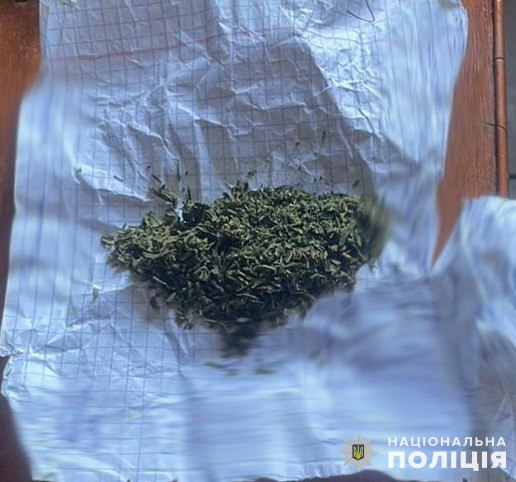Родинний наркобізнес: у Новому Роздолі  бабуся з онуком торгували наркотиками