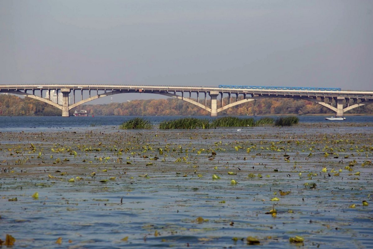 У водах Дніпра виявили отрутохімікати та важкі метали