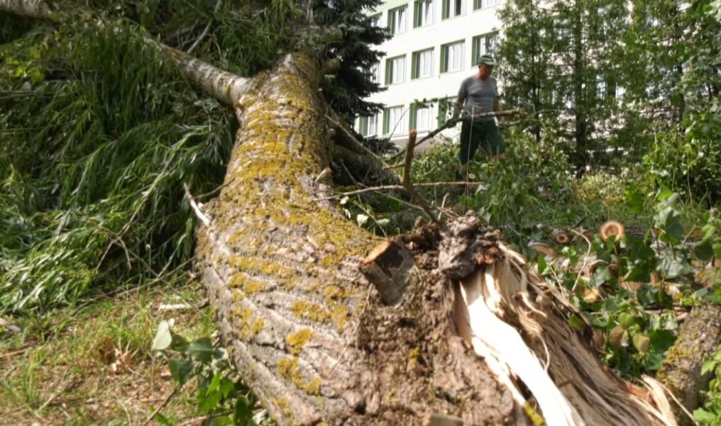 На Львівщину насувається буревій, який наробив біди в Німеччині та Польщі