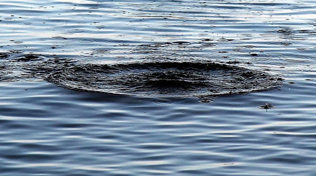 На Львівщині у водоймі знайшли тіло 20-річного хлопця