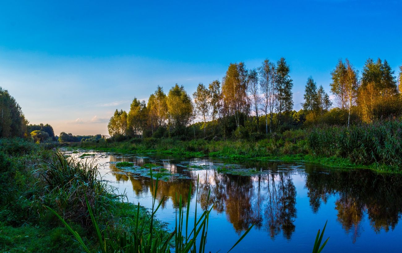 Небезпечна вода. На заході України оголосили про загрозу підтоплень