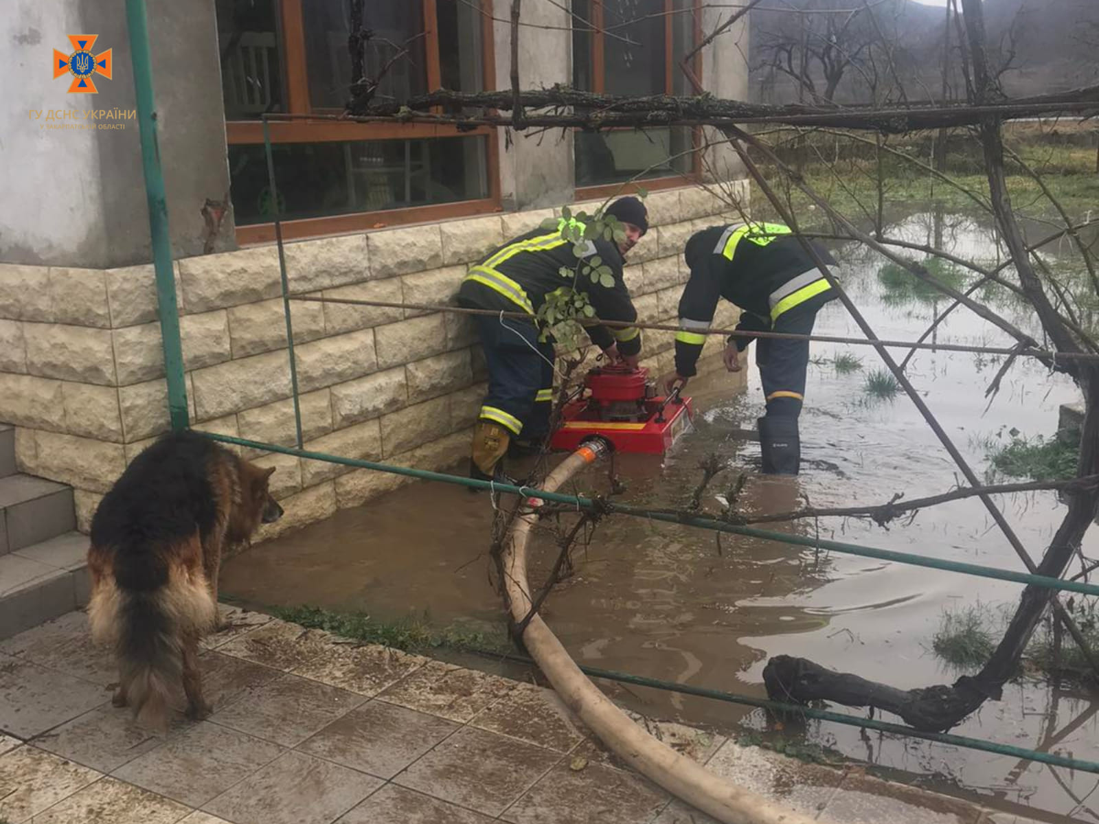 На Закарпатті через негоду затопило садиби та дороги