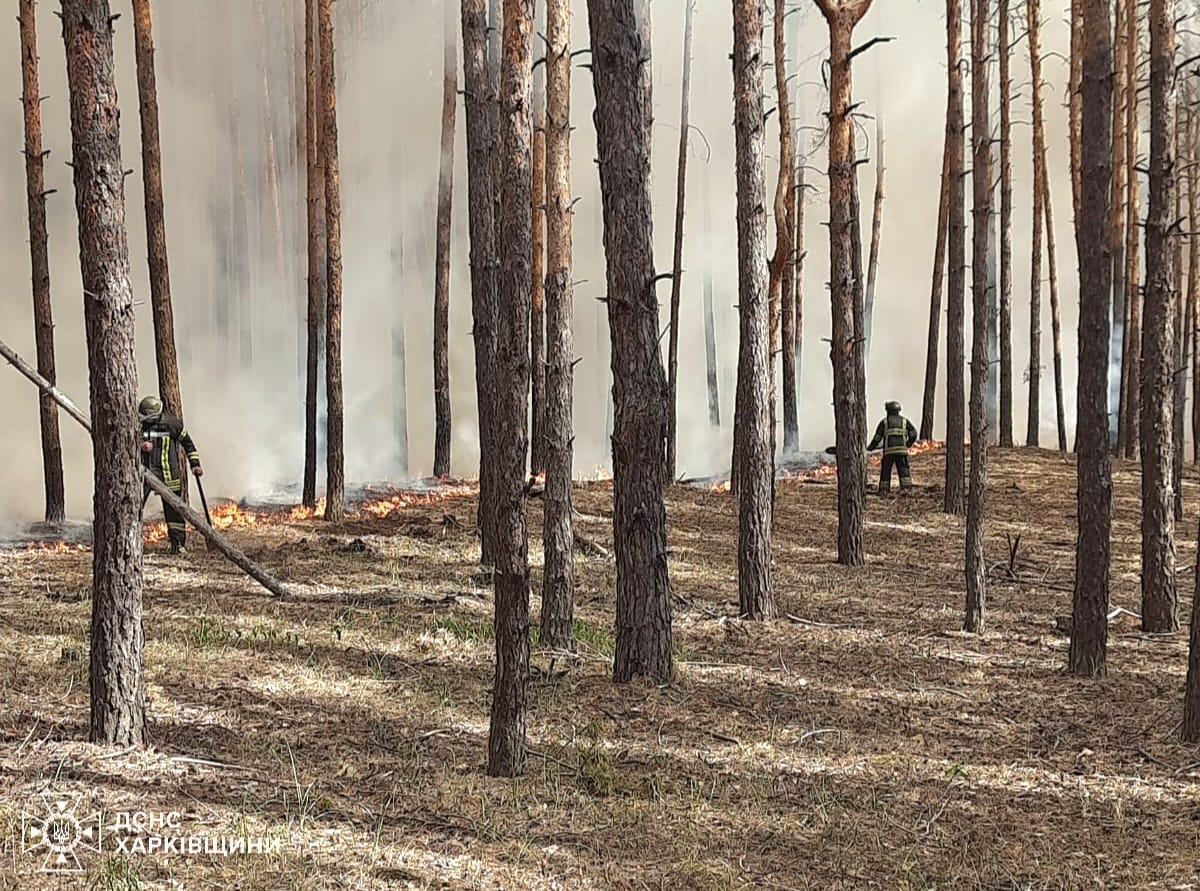 На Харківщині через російські обстріли виникли масштабні лісові пожежі