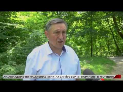 Львівські парки оброблятимуть від кліщів