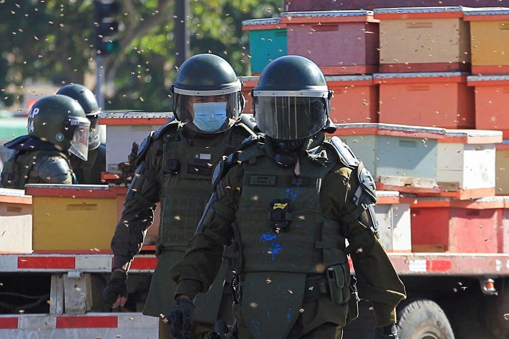 У Чилі поліцейські пробували розігнати мітинг пасічників. Їх покусали бджоли