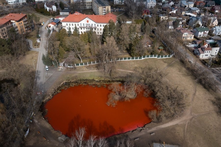 Озеро перед посольством РФ у Литві перетворилося на "криваве море"