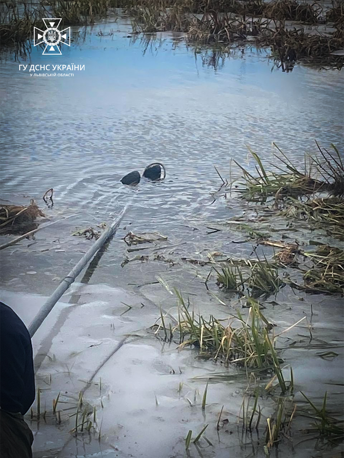 В озері на Львівщині знайшли тіло 45-річного чоловіка