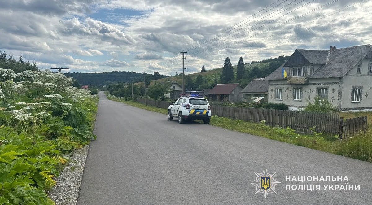 На Львівщині дитина потрапила у ДТП на мотоблоці: поліція оприлюднила фото та нові подробиці