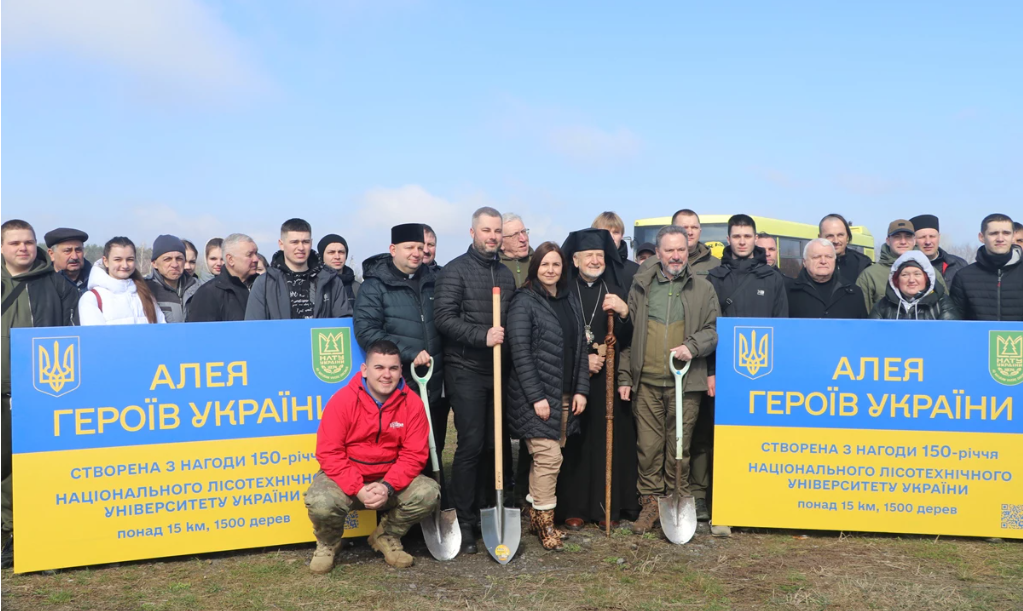 На Львівщині висадили липову алею, яка потрапила до Книги рекордів України
