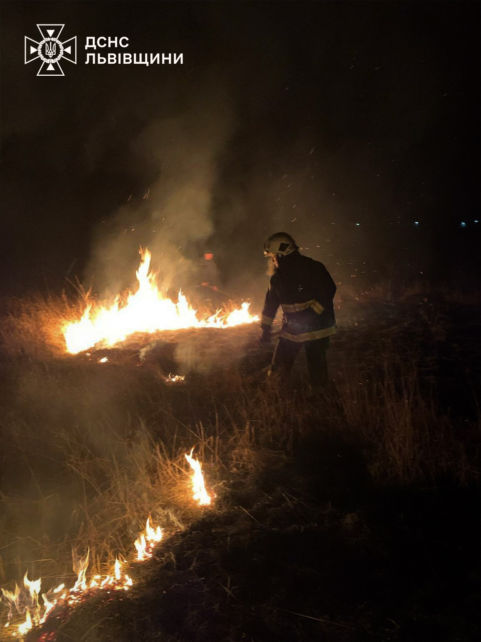 На Львівщині за добу виникло понад пів сотні пожеж сухостою: загинула людина (фото)