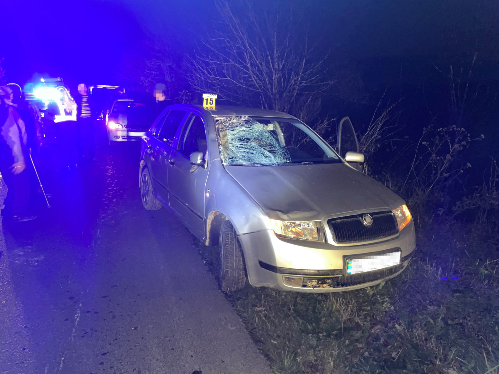 Біля Львова водій автомобіля збив двох пішоходів. Загинула 65-річна жінка