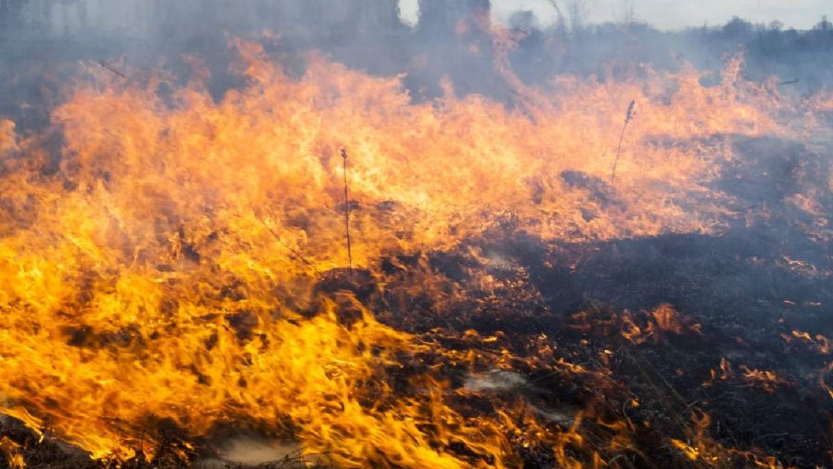 У 8 областях України впродовж кількох днів спостерігатиметься високий рівень пожежної небезпеки