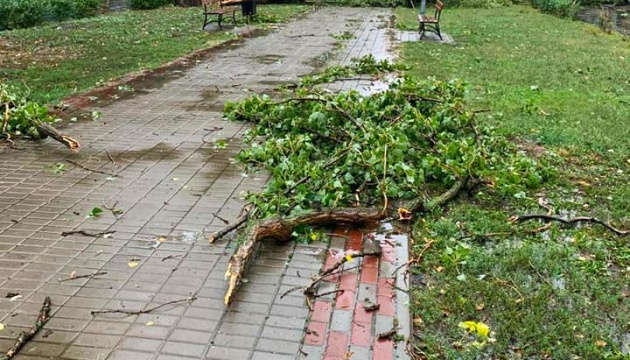 Авто пливуть по вулицях, людей зносить вітер: у Києві вирує негода (відео)