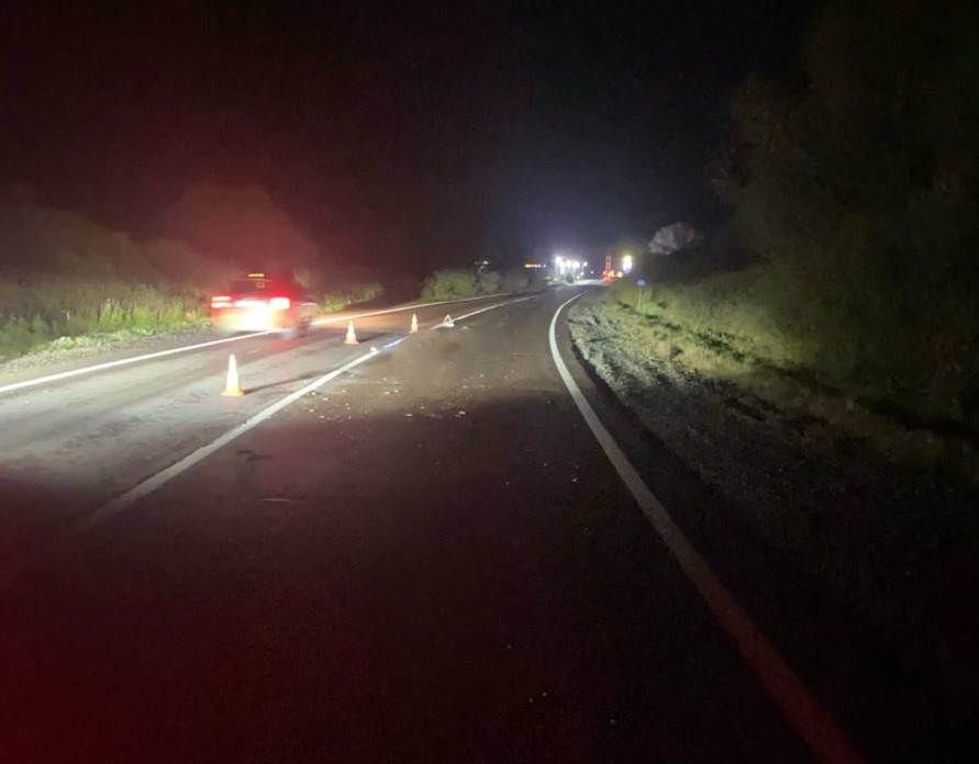 На Львівщині водій авто на смерть збив пішохода та втік з місця ДТП