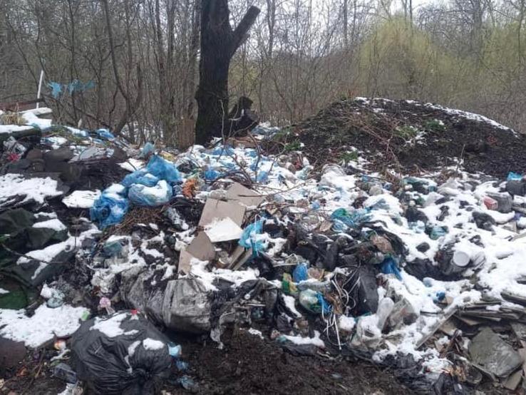 У Трускавці директор підприємства облаштував незаконне звалище
