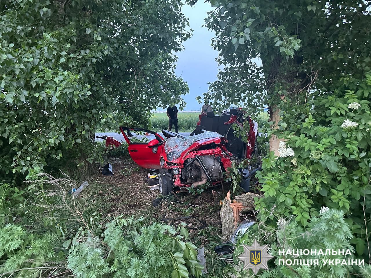Авто розтрощене вщент: моторошна ДТП на Київщині забрала життя трьох людей