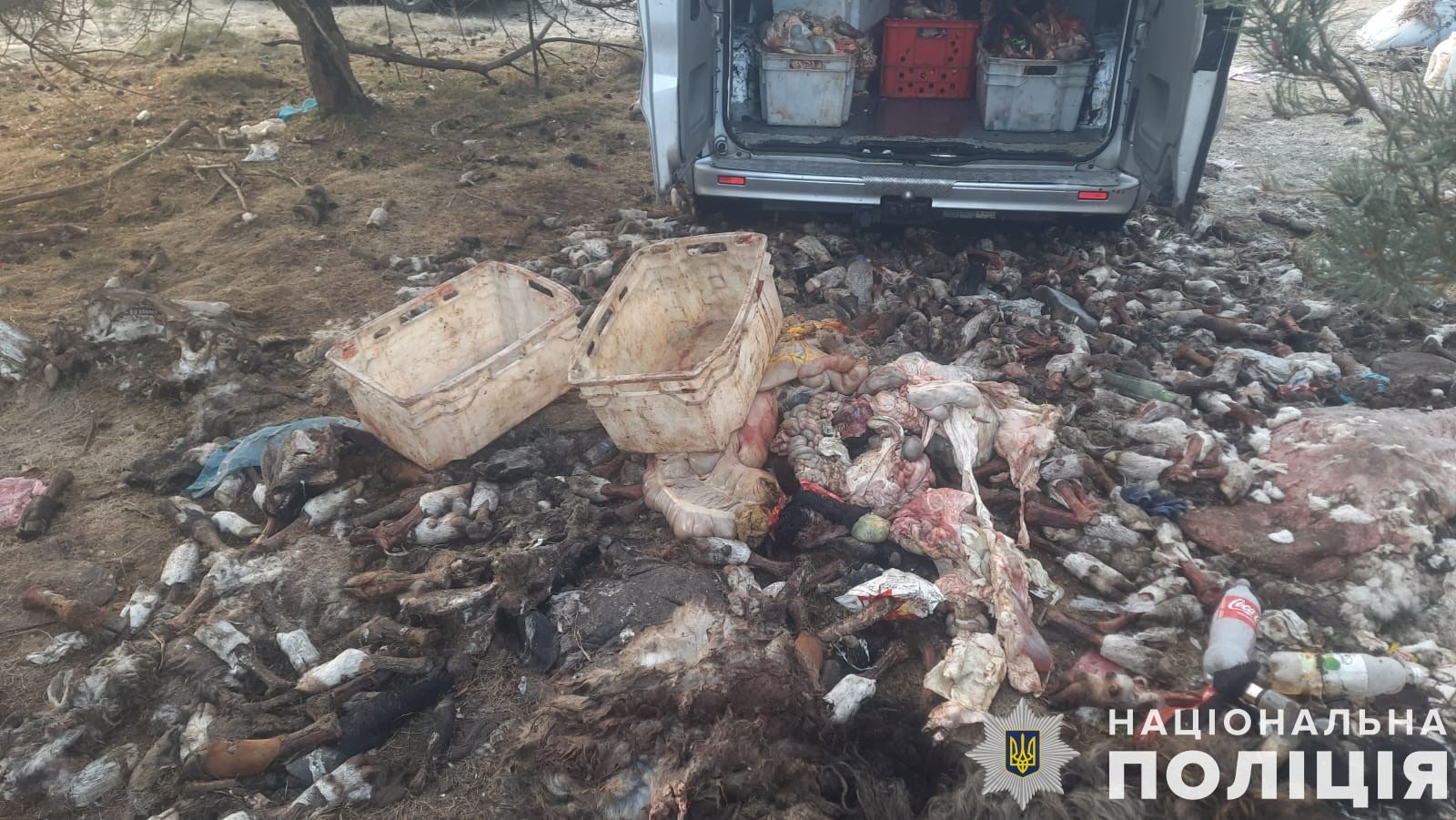 На Львівщині чоловіки скидали рештки тварин в урочище (фото)