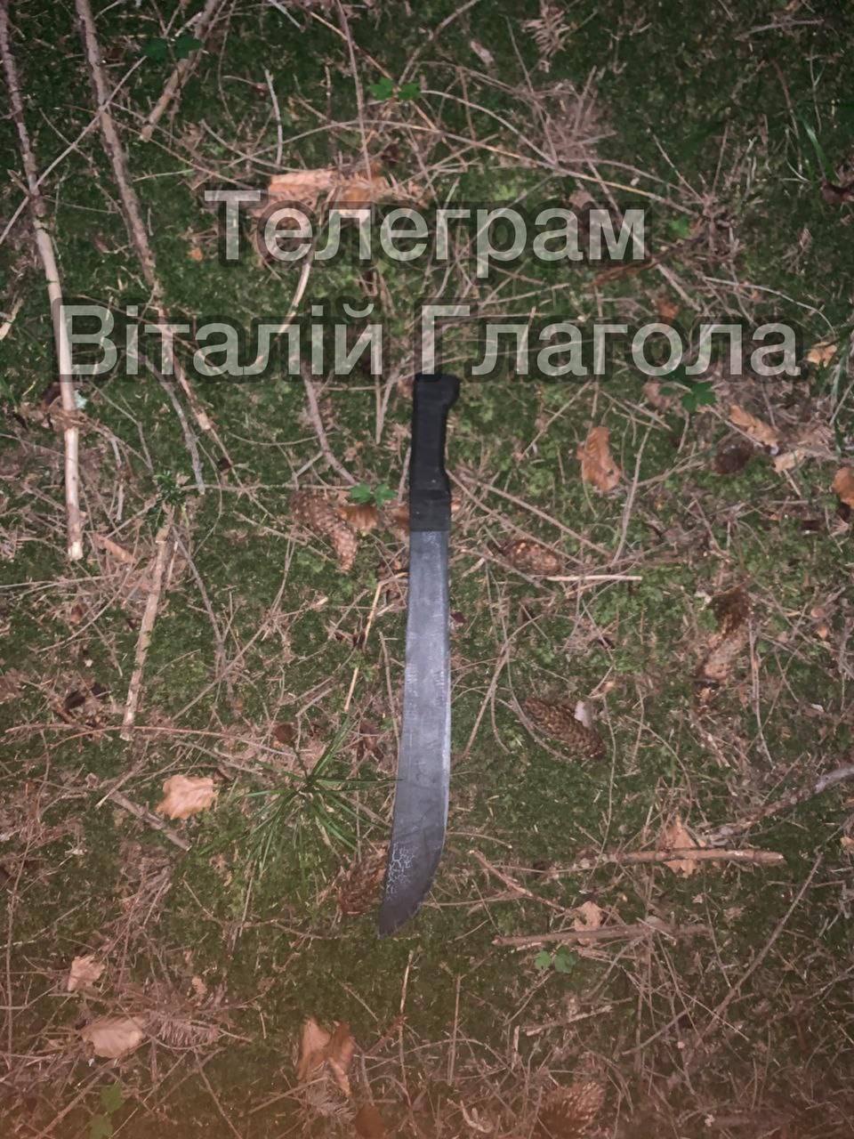 Вбивство на кордоні з Румунією: "ухилянт" напав з мачете на прикордонника