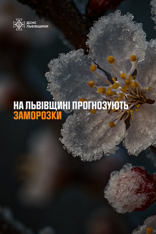 На Львівщині синоптики прогнозують заморозки та ожеледицю