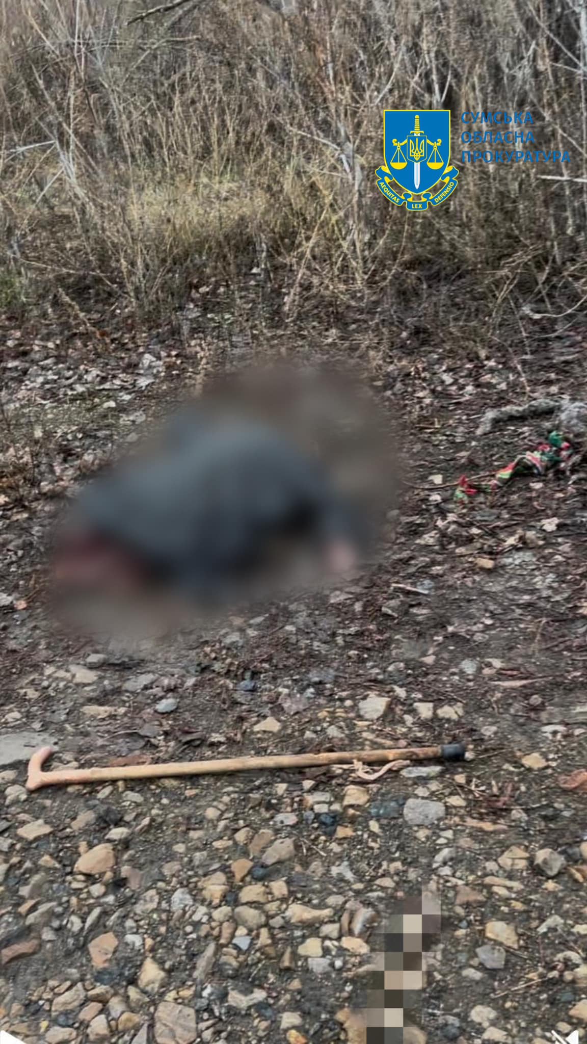 На Сумщині знайдено тіла матері й сина, які готувалися до евакуації та зникли