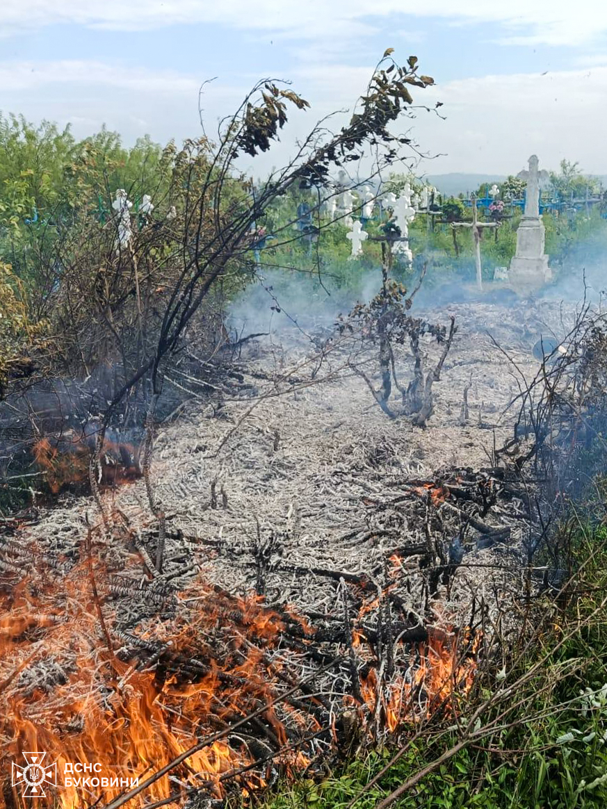 На Буковині горів цвинтар: фото з пожежі