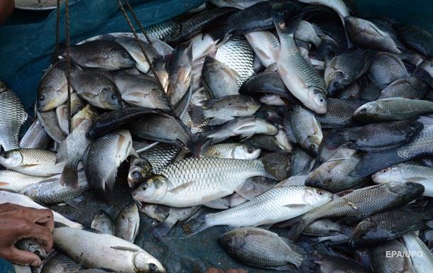 Під Києвом затримали браконьєрів, які виловлювали до тонни риби в день
