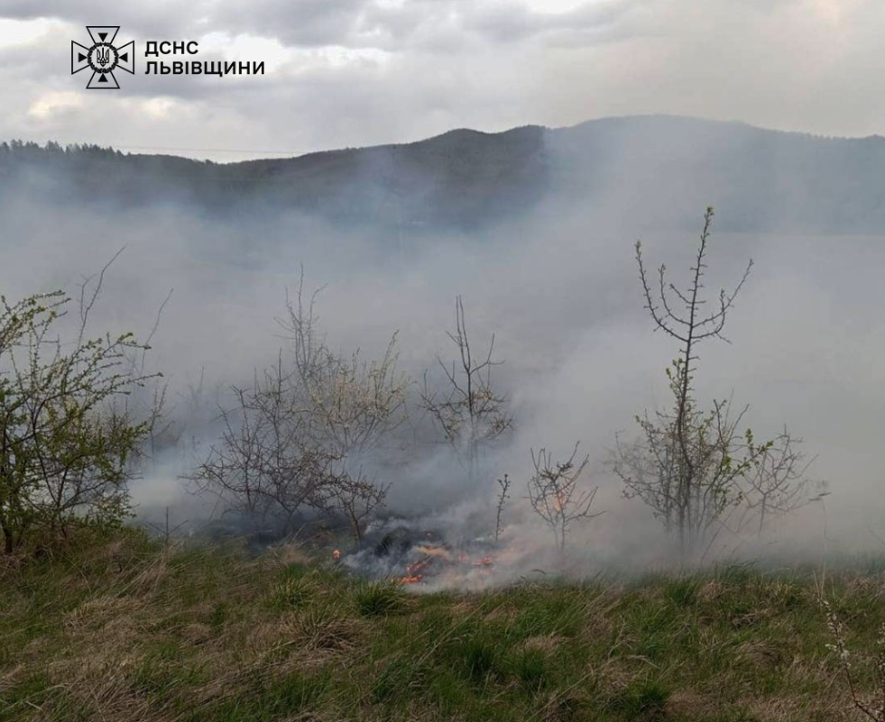 Як палала Львівщина 26 квітня: приголомшливі фото від ДСНС