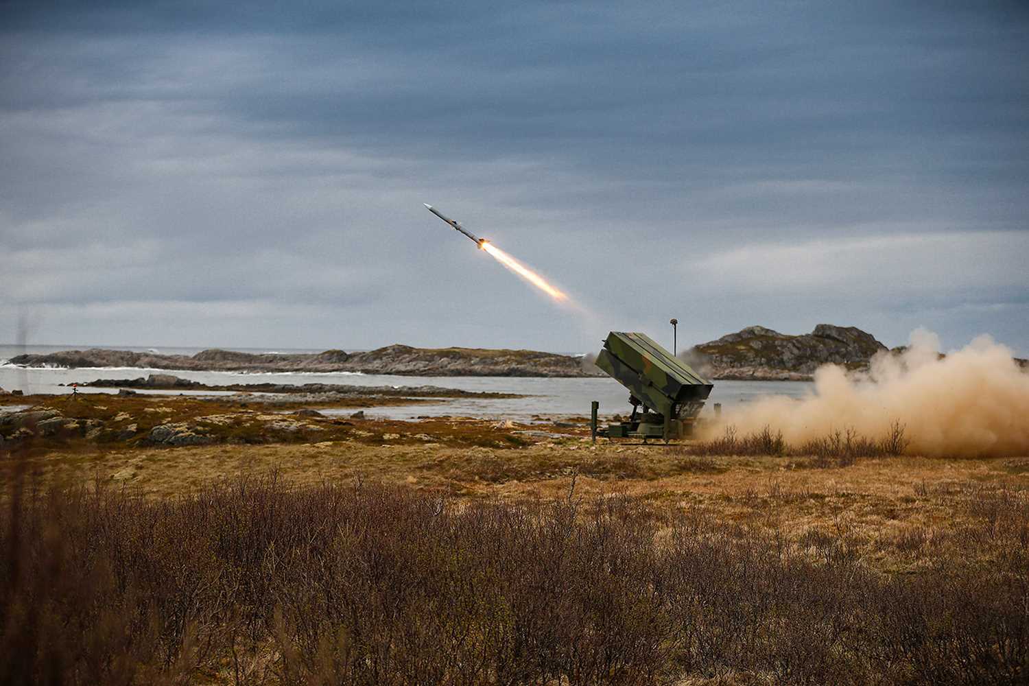 Нічна атака: сили ППО знищили 15 крилатих ракет