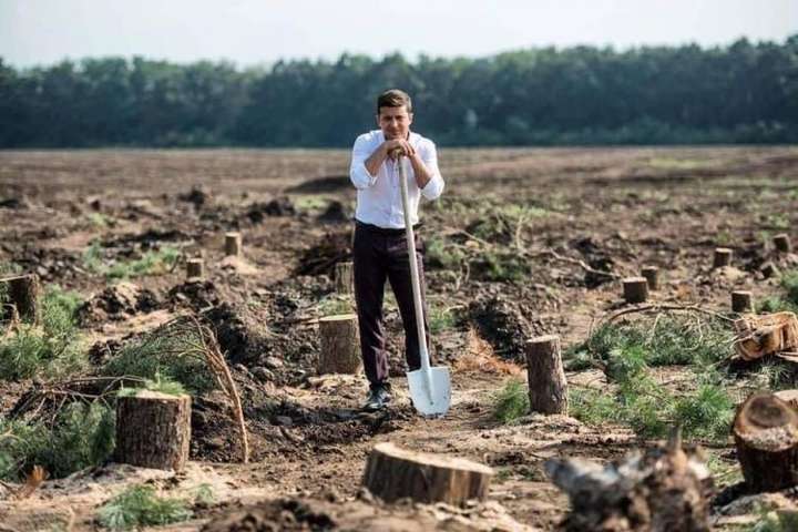 Аналітик порахував, що "мільярд дерев" від Зеленського - це не три роки, а п’ять тисячоліть