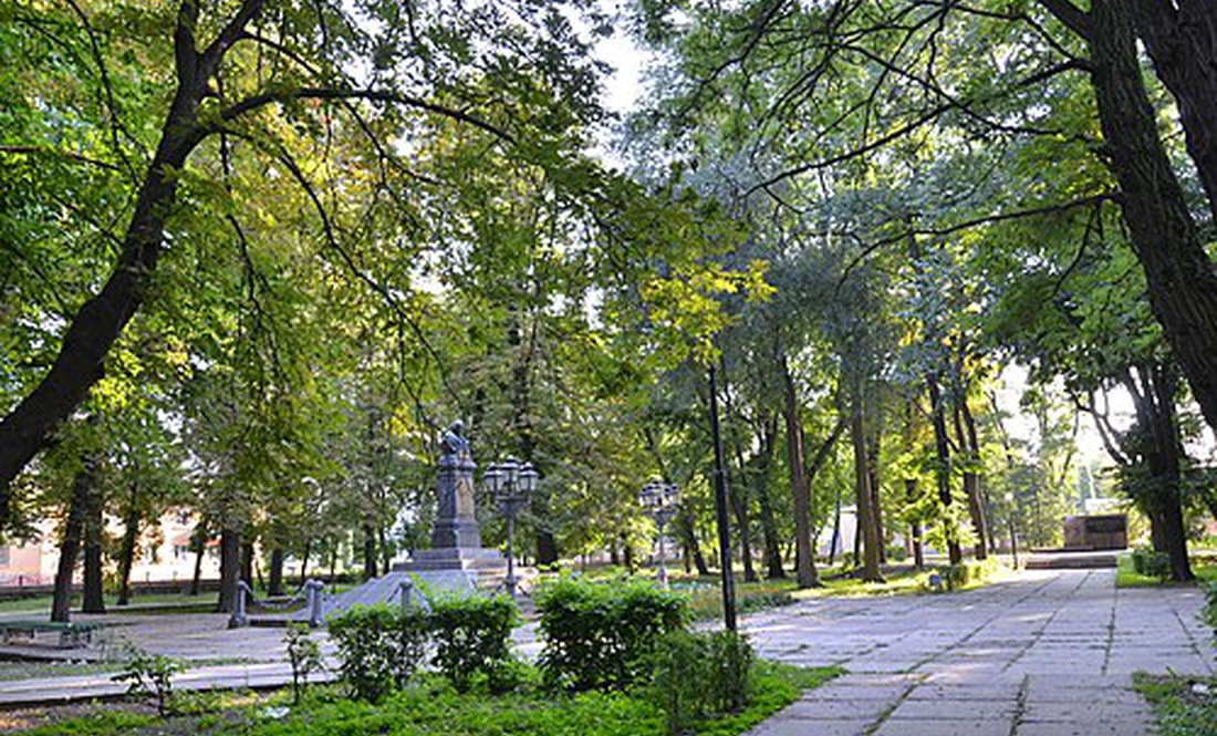 Кинув гранату прямо в парк серед білого дня: У Ніжині пролунав вибух
