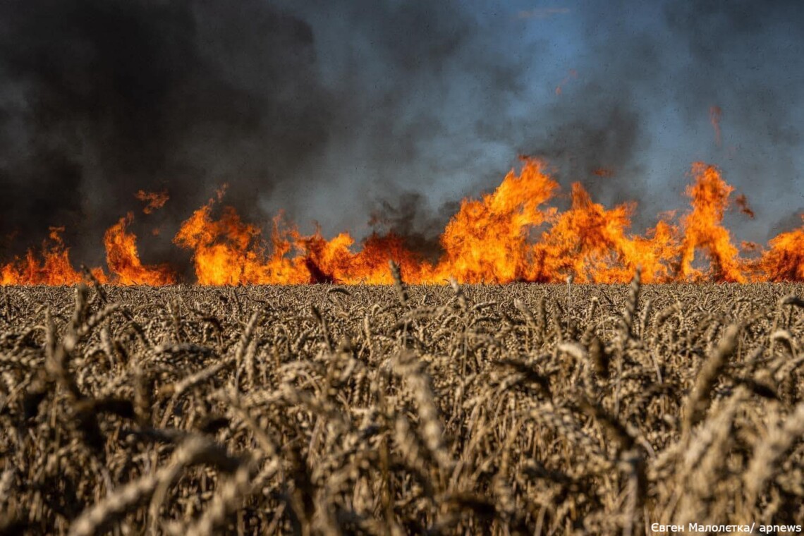 Збитки довкіллю України за 1000 днів війни: назвали суму