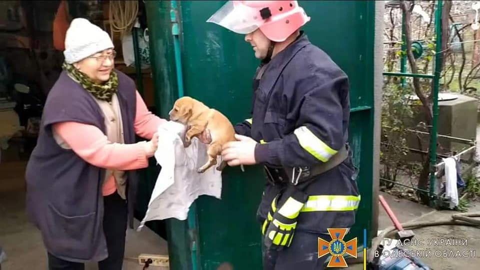 Розібрати двір для порятунку цуцика. Екшн від рятувальників