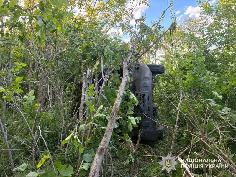 Поблизу Львова авто вилетіло з дороги у кущі: фото з місця аварії