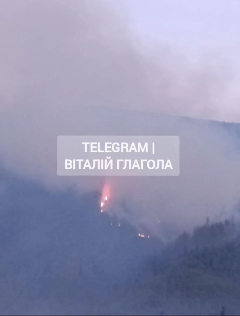 На Закарпатті горять ліси: фото та відео потужної пожежі