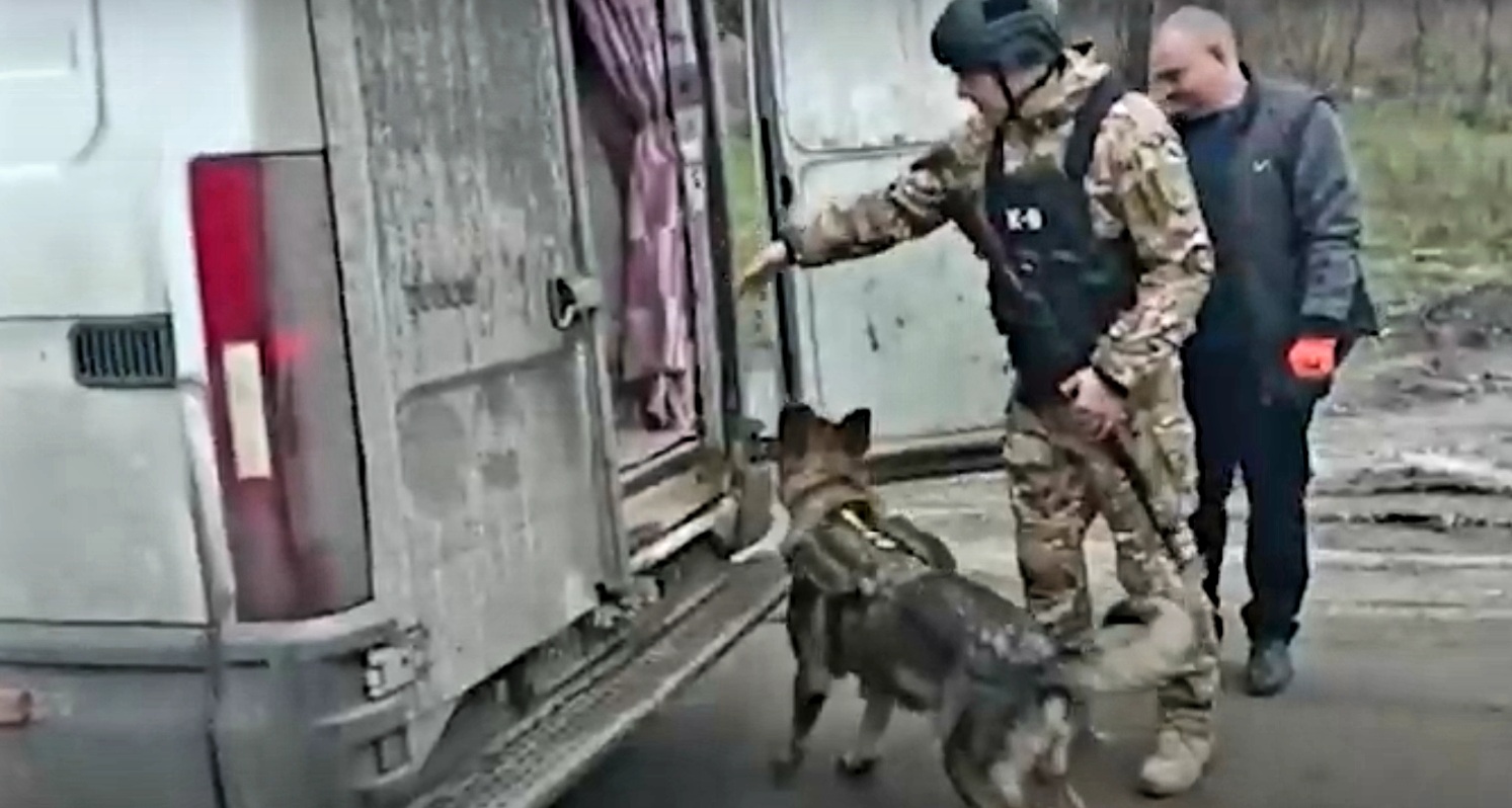 Уго і Барс. Львівські поліцейські показали своїх вівчарок, які зараз служать на Харківщині