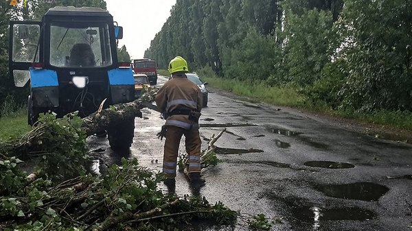 Полтавщину накрила буря: що відомо про наслідки