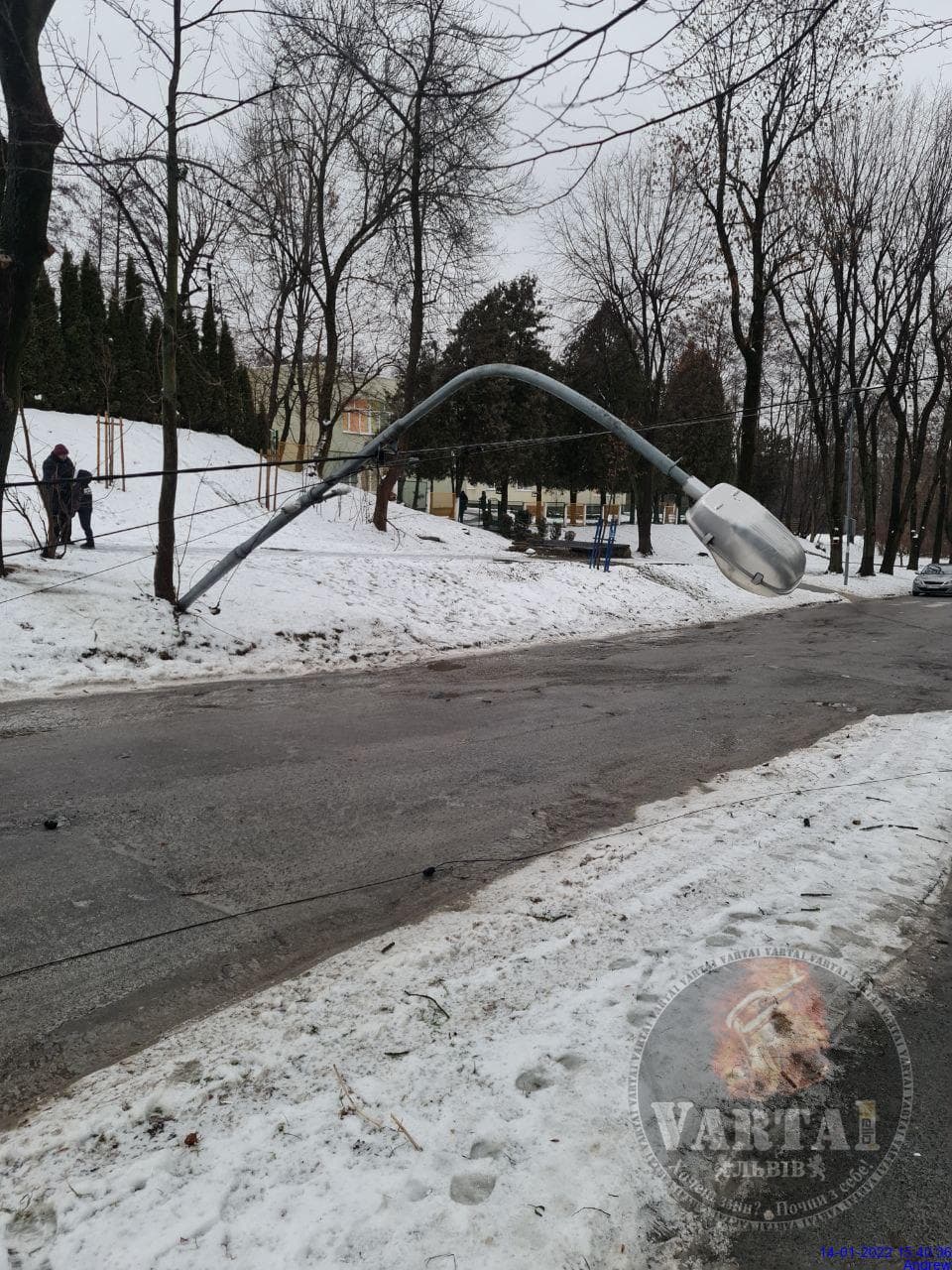 У Львові штормовий вітер повалив дерева і погнув ліхтарі
