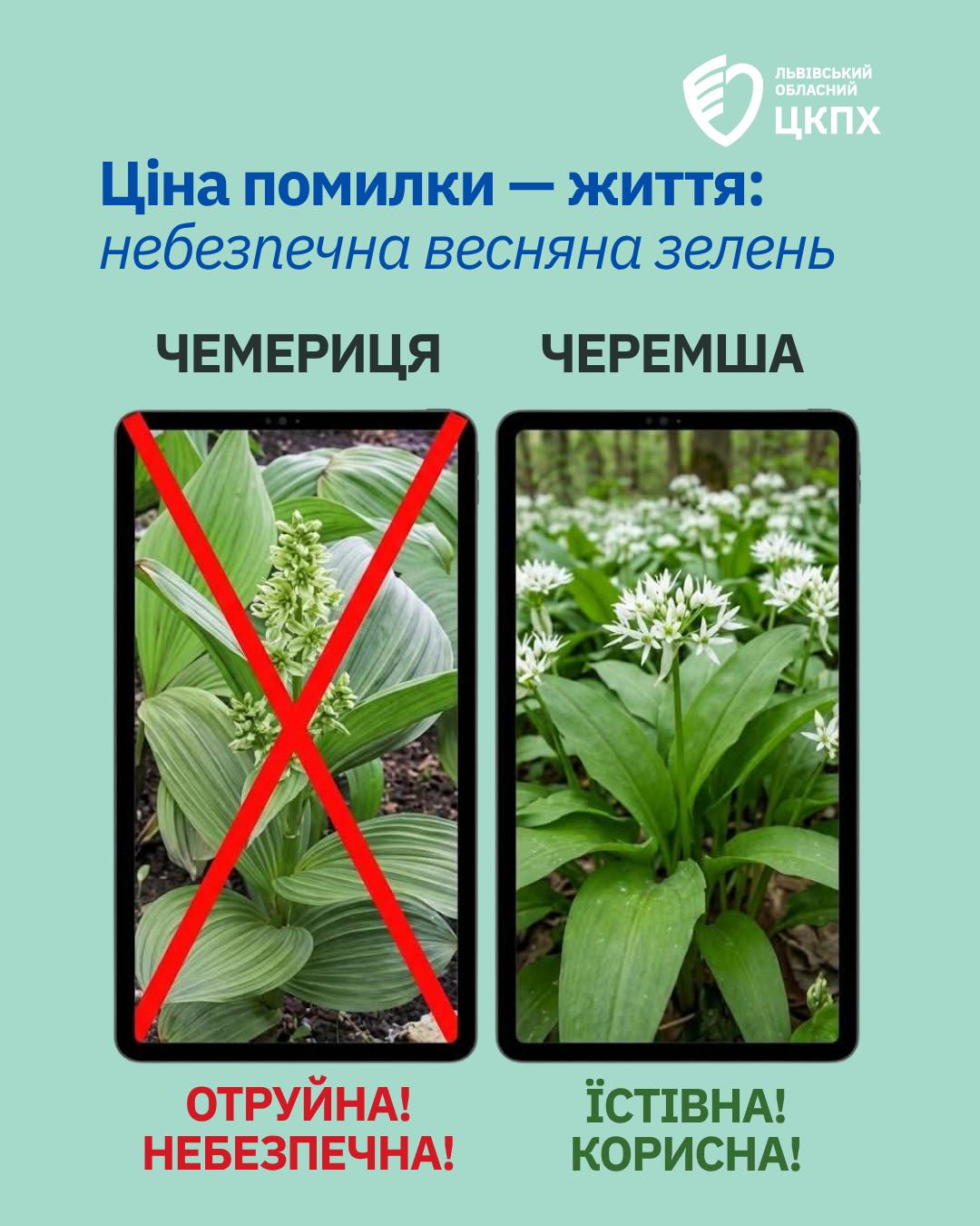 Смертельне отруєння спортивного лікаря у Львові: Медики зробили заяву