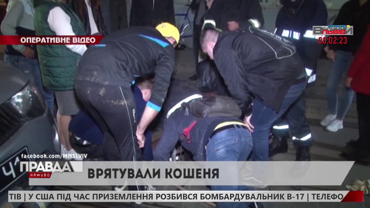 Львівські рятувальники витягли з водостічної труби кошеня
