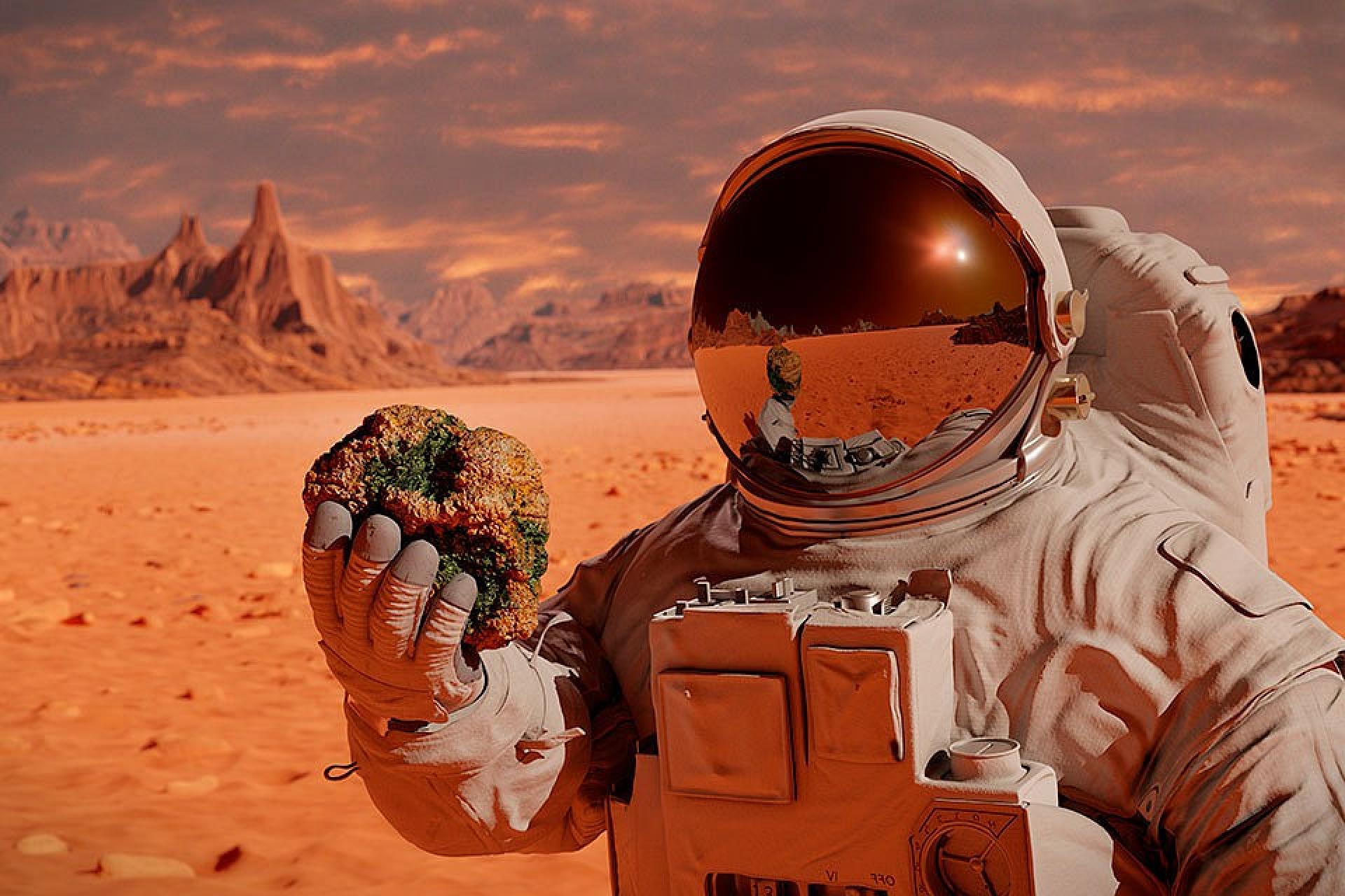 Життя на Марс доставить NASA?