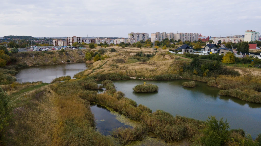 На Волині знайшли мертвою пенсіонерку, яка чекала «льотчика зі США»