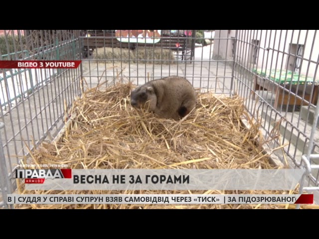 Львівська бабачиха Маруся напророкувала ранню весну