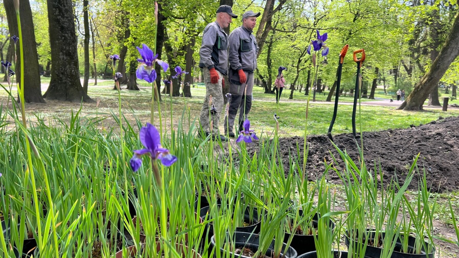 Замість калюж — квіти: у Львові презентували нове рішення для боротьби з великою водою (фото)