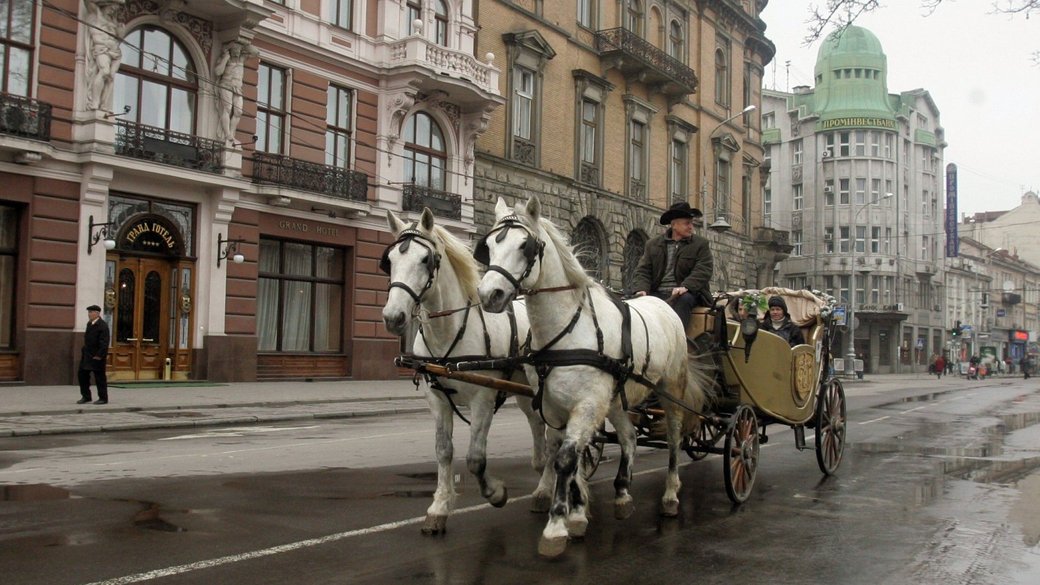 У Львові заборонили використання коней та поні у центральній частині міста